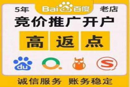 百度推广费用的投入与市场占有率提升的关联案例
